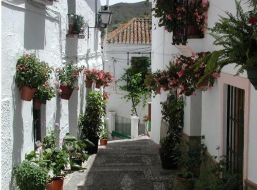 "El Porton" Apartment Borge Exterior foto